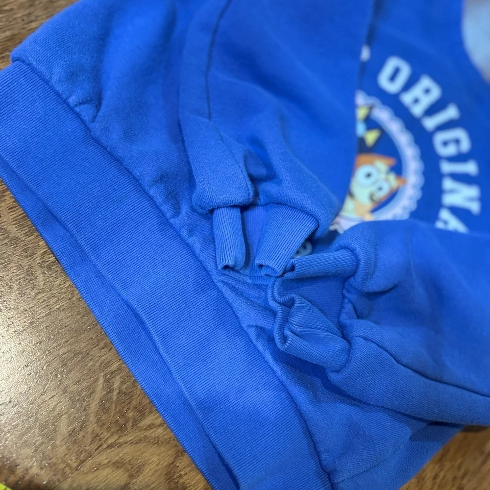 Baby GAP Bluey Sweatshirt – Size 3T